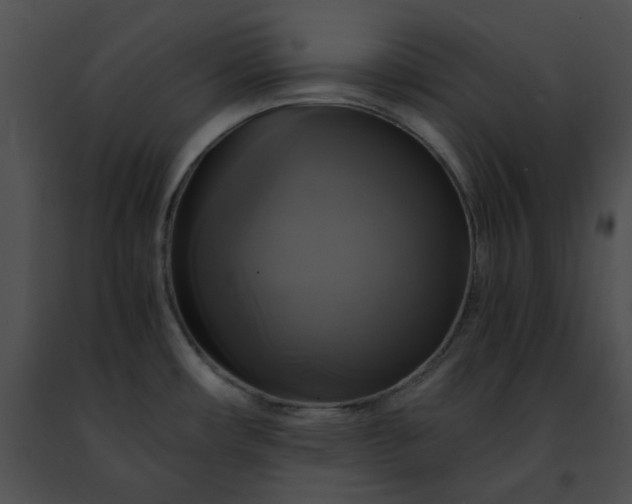 X0000091481482200708301904