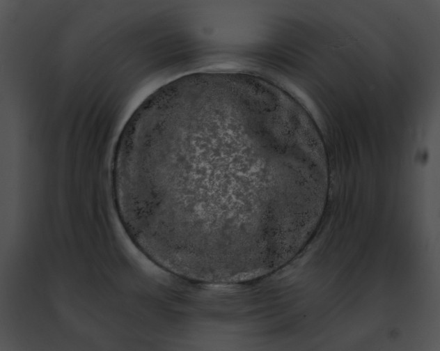 X0000091481483200708301904