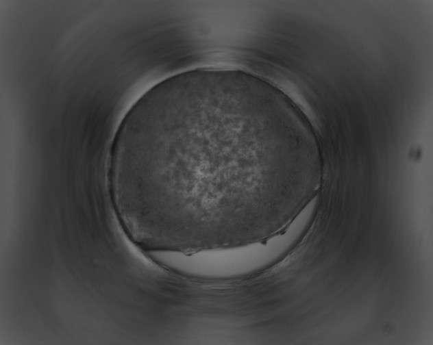 X0000091481484200708301904