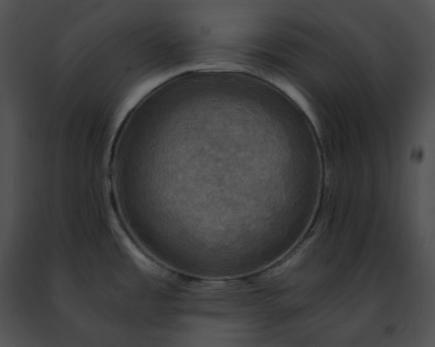 X0000091481485200708301904