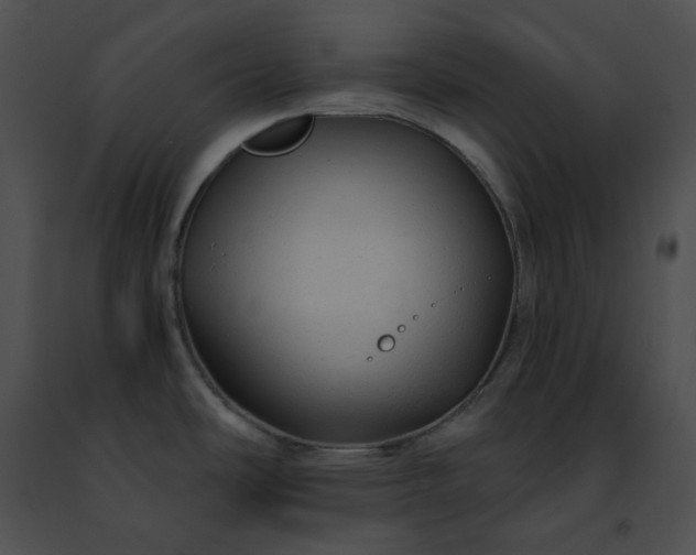 X0000091481486200708301904