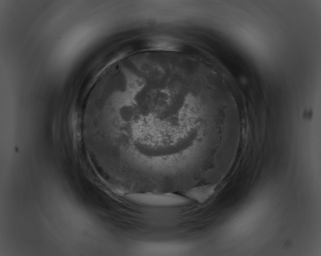 X0000091481487200708301904