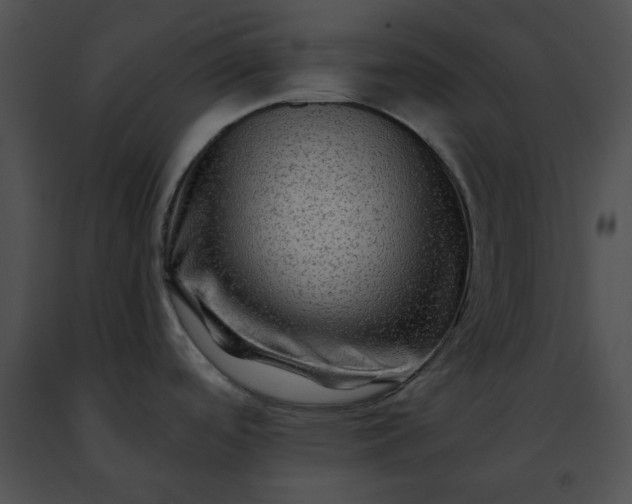 X0000091481488200708301904