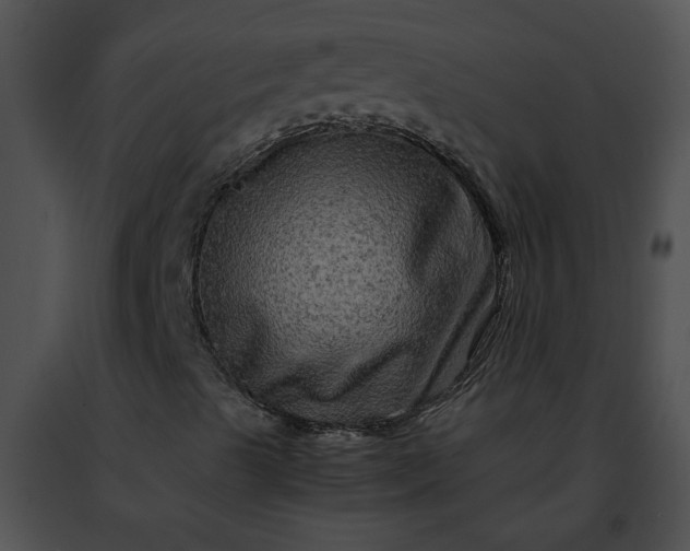 X0000091481489200708301903