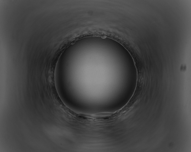 X0000091481490200708301903