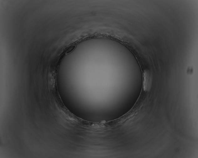 X0000091481491200708301903