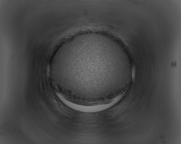 X0000091481492200708301903