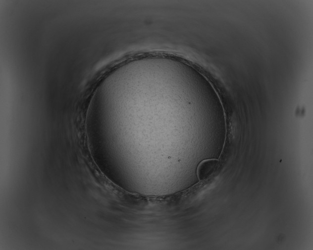 X0000091481494200708301903