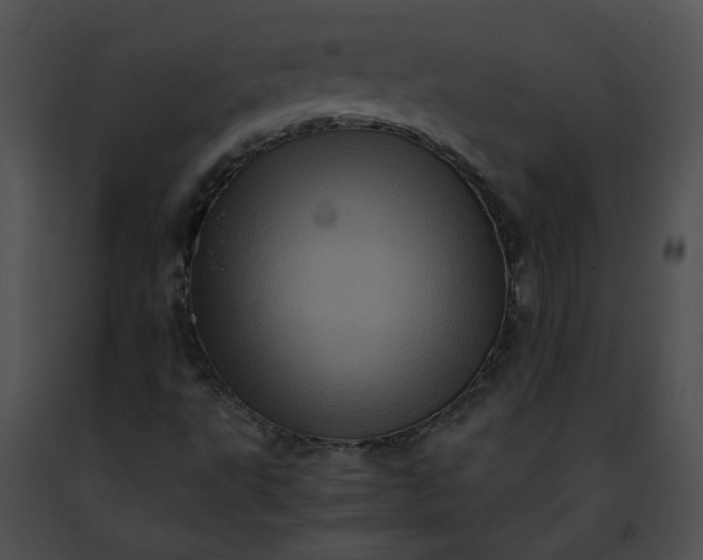 X0000091481495200708301903