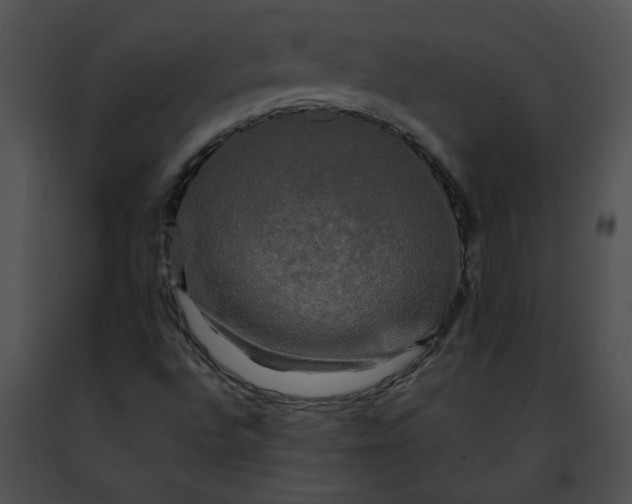 X0000091481496200708301903