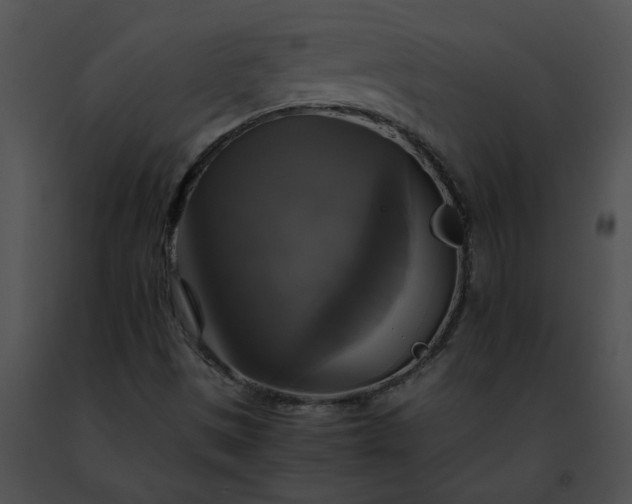 X0000091481497200708301903