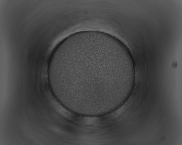 X0000091481498200708301903