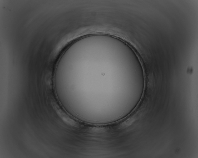 X0000091481499200708301903