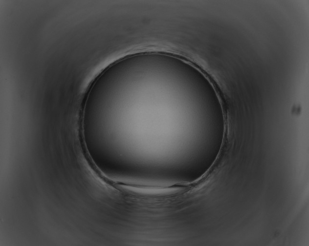 X0000091481500200708301903