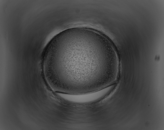 X0000091481501200708301903