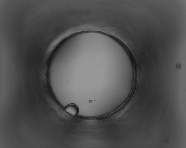 X0000091481502200708301903