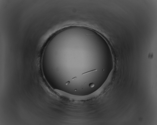 X0000091481503200708301903