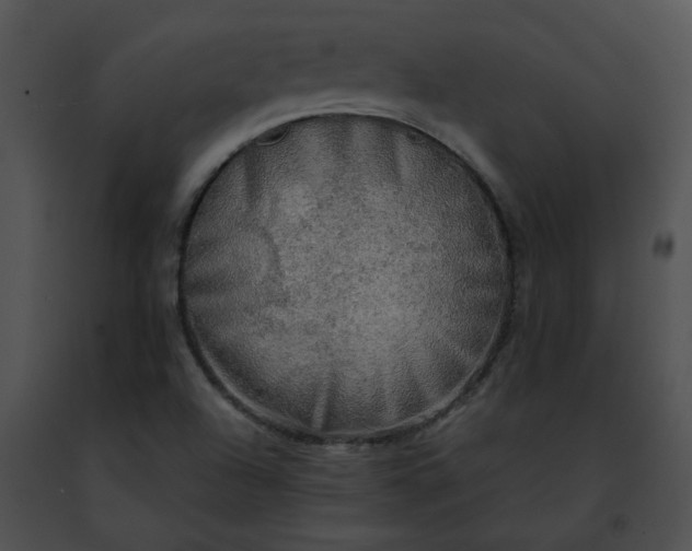 X0000091481504200708301903