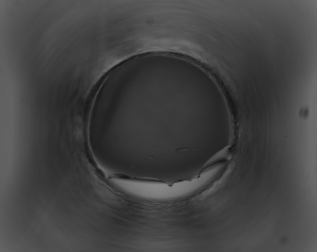 X0000091481505200708301903