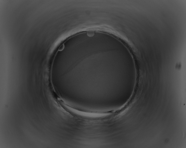 X0000091481506200708301903