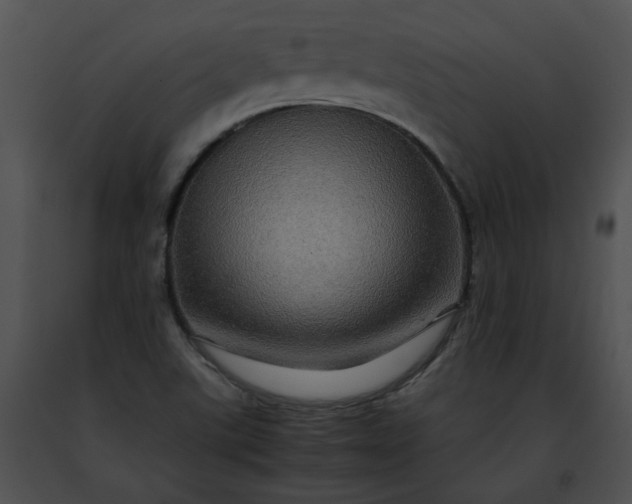 X0000091481507200708301903