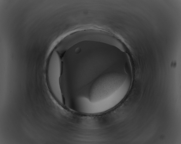 X0000091481508200708301903