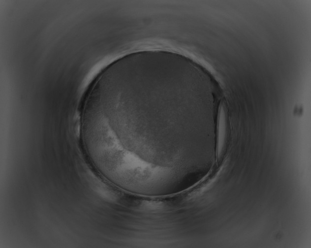 X0000091481509200708301903