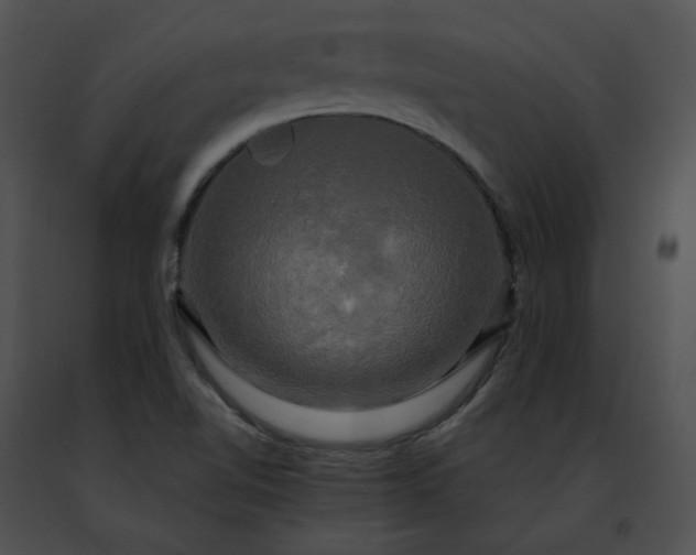 X0000091481510200708301903