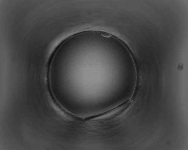 X0000091481511200708301903