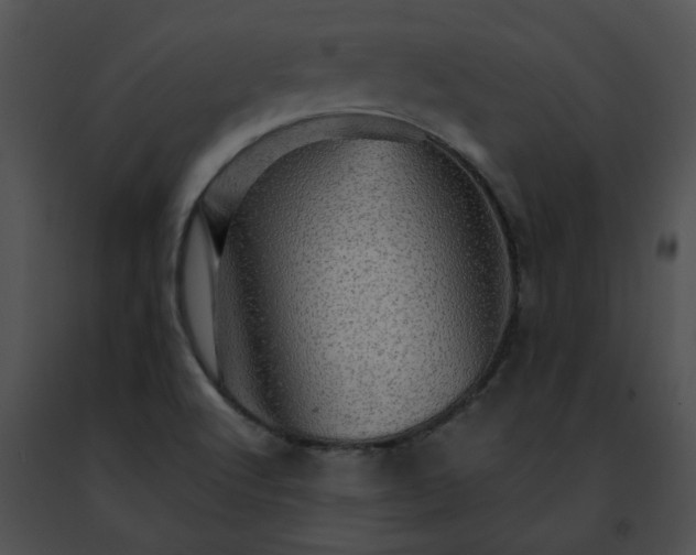 X0000091481512200708301903