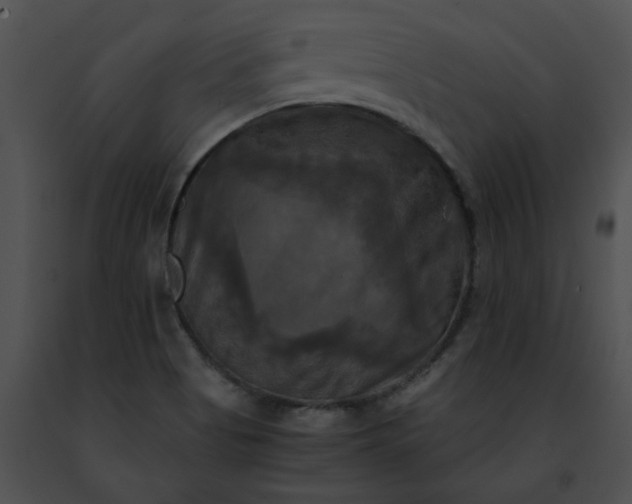 X0000091481513200708301903