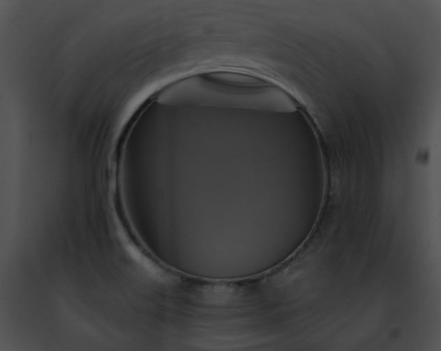 X0000091481515200708301903