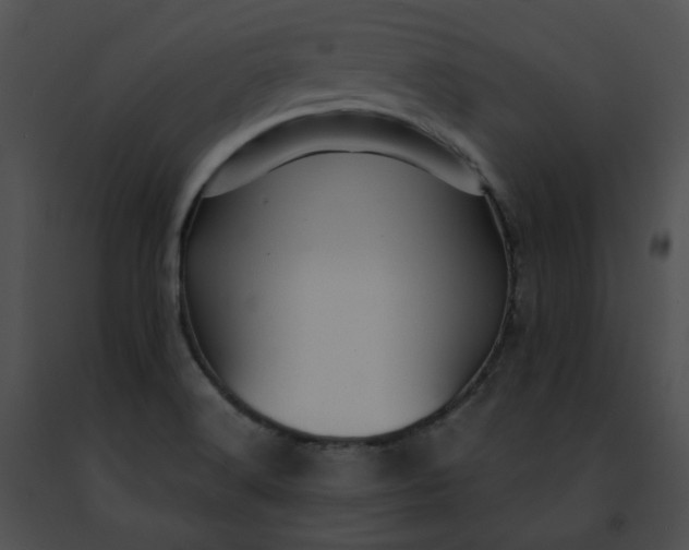 X0000091481516200708301903