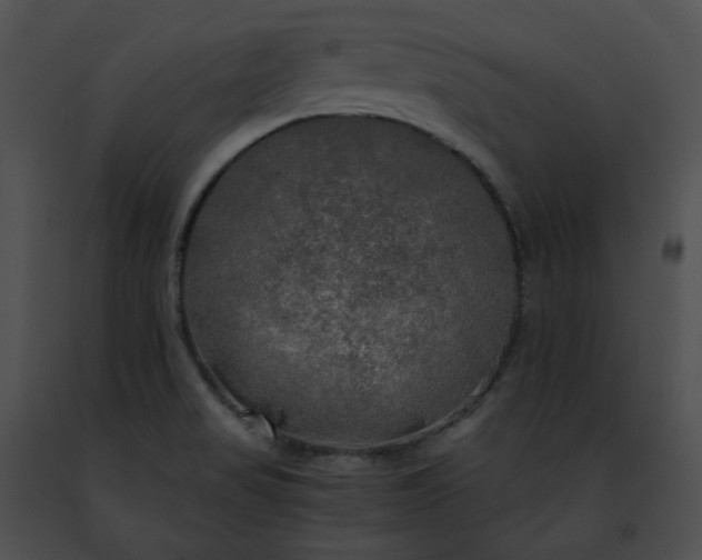 X0000091481517200708301903