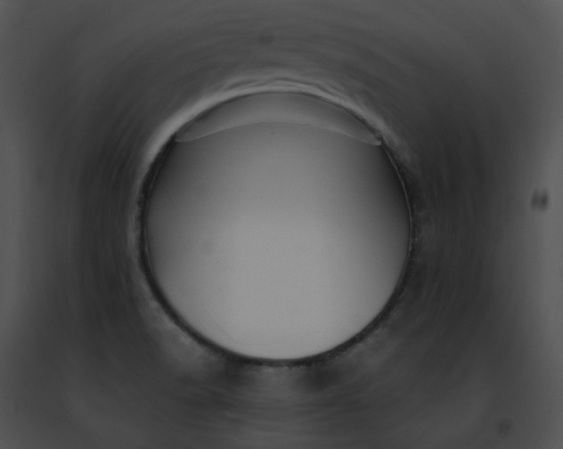 X0000091481518200708301903