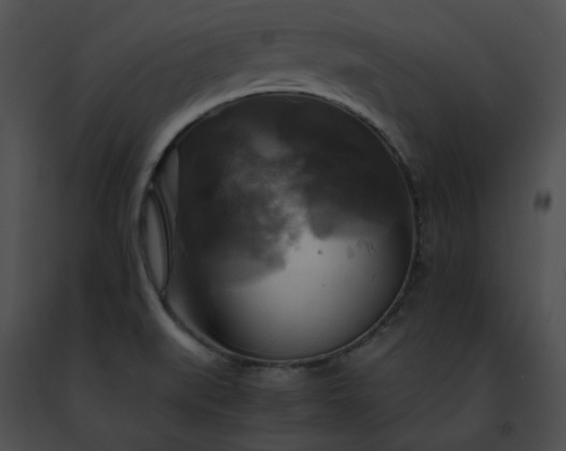 X0000091481519200708301903