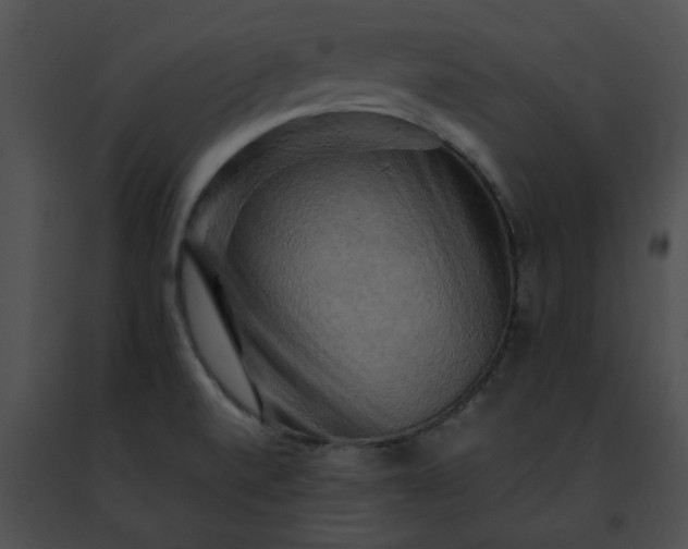 X0000091481520200708301903