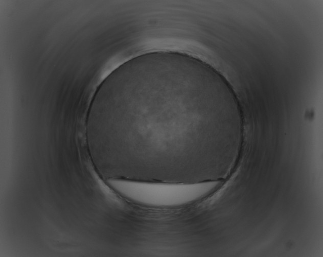 X0000091481521200708301903