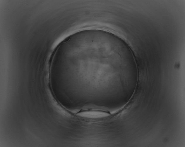 X0000091481522200708301903