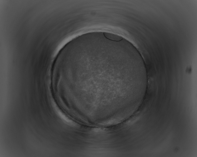 X0000091481523200708301903