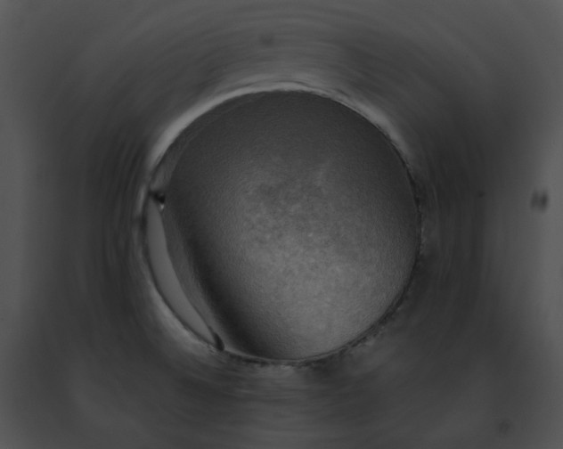 X0000091481524200708301903