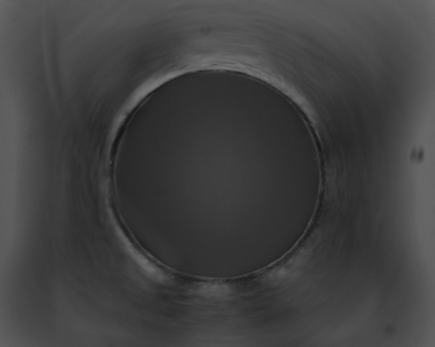 X0000091481525200708301903