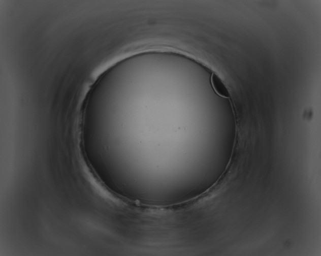 X0000091481526200708301903