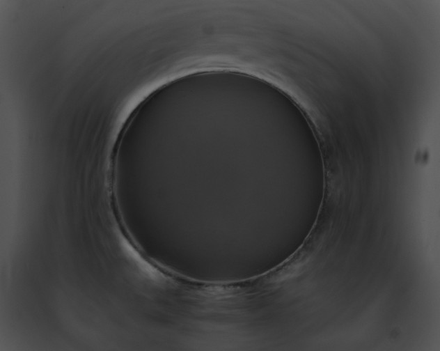 X0000091481527200708301903