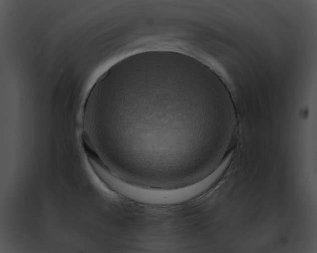 X0000091481528200708301903