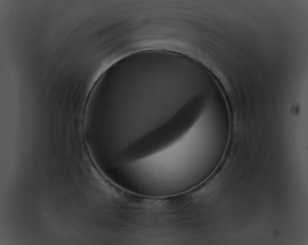 X0000091481529200708301903