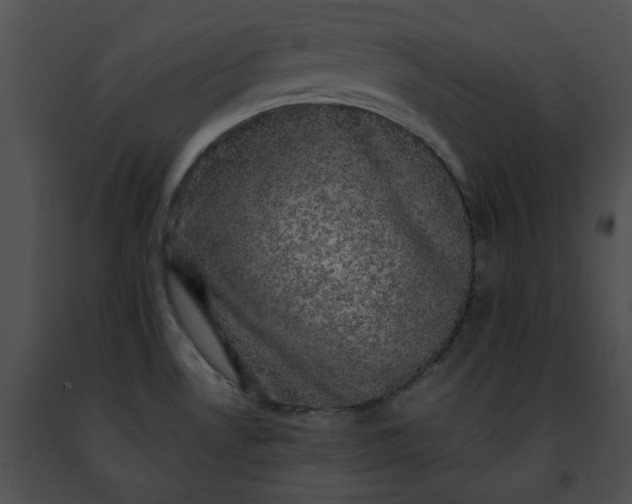 X0000091481530200708301903