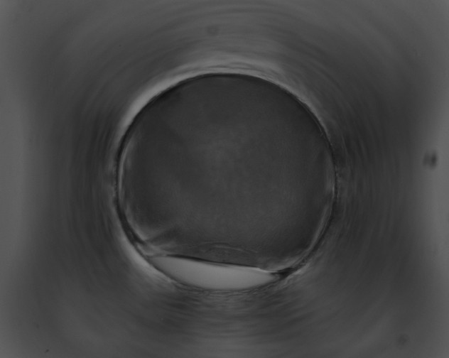 X0000091481531200708301903