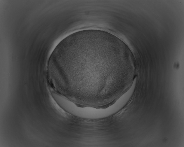 X0000091481532200708301903