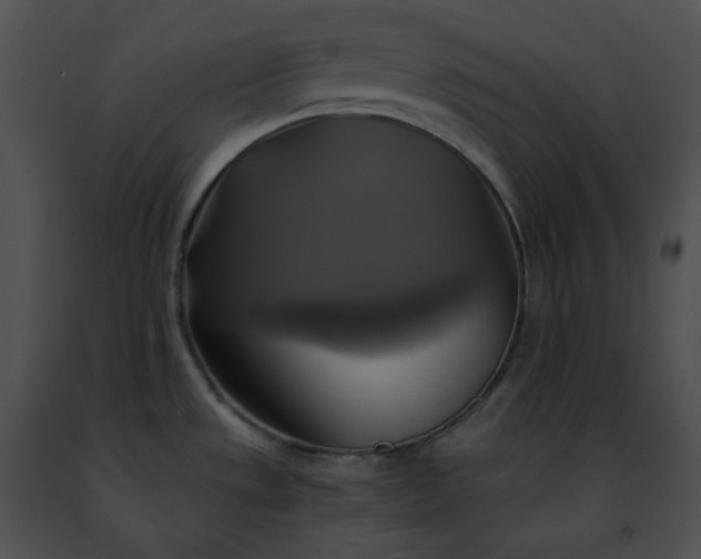 X0000091481533200708301903